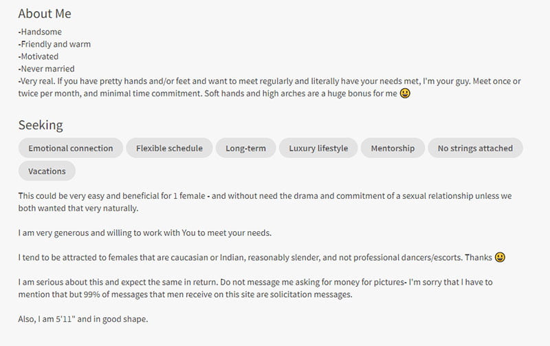 seekingarrangement profile example