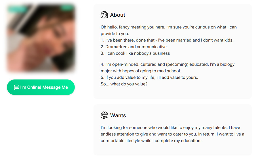 sugar baby profile bio example