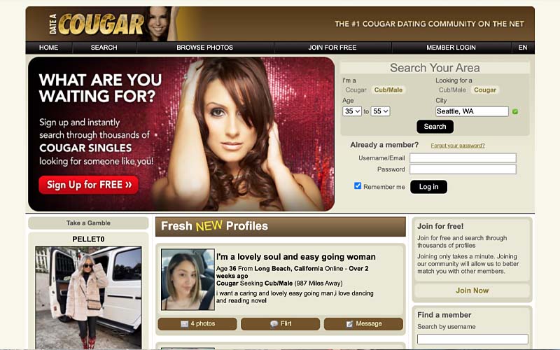 dateacougar sugar momma site