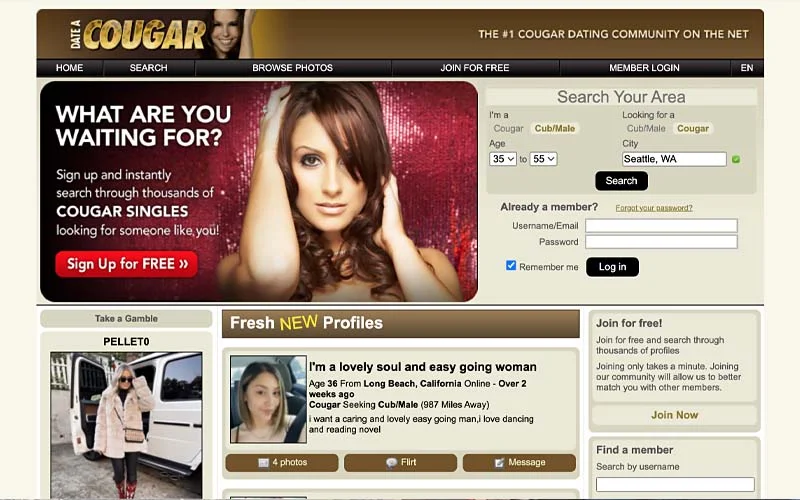 dateacougar sugar momma site